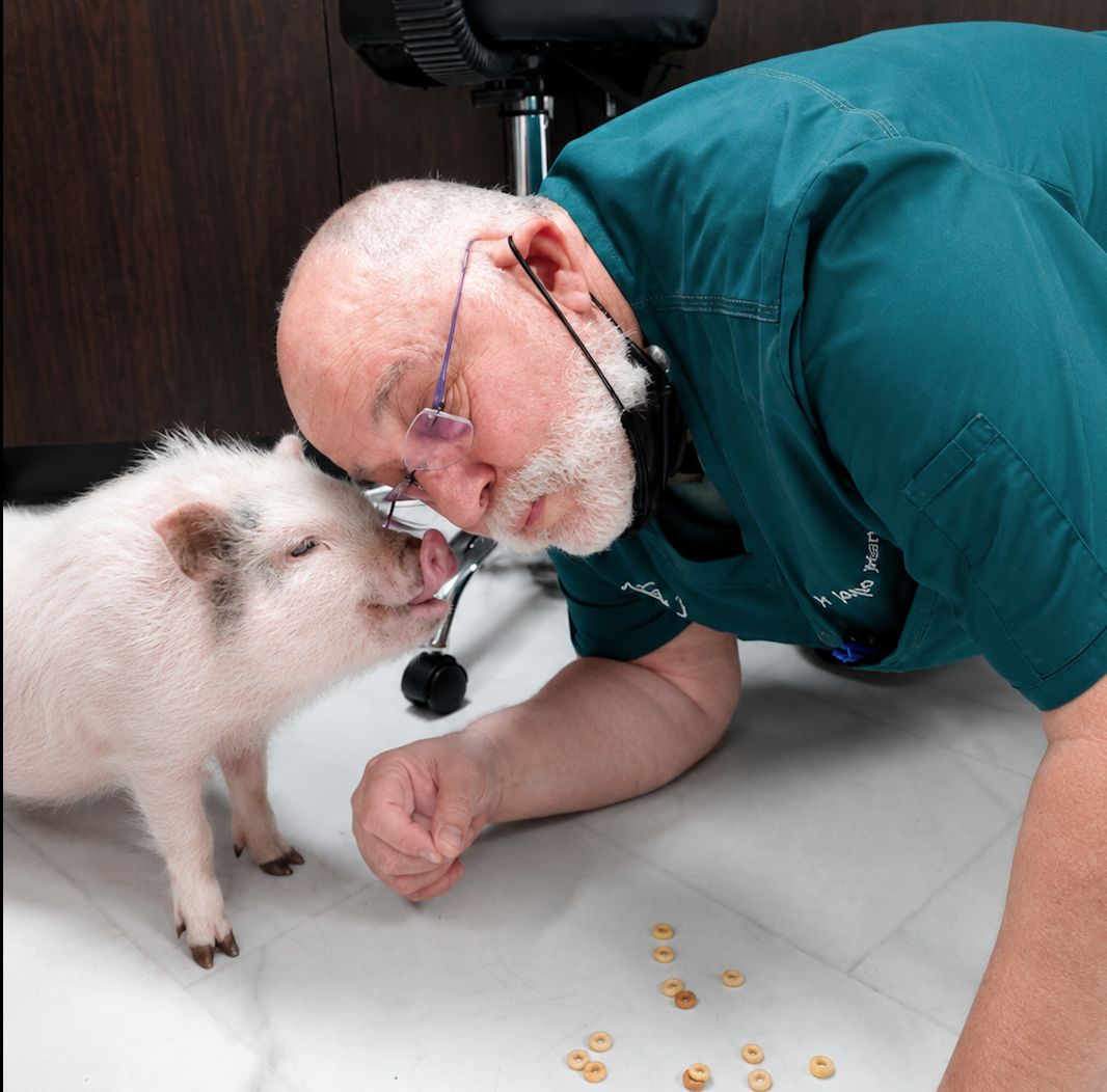 Dr. Joseph Martinez, exotic pet surgeon at Francis Petcare Hospital