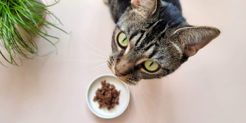 WhatsApp Image 2026-03-30 at 3.42.13 PM