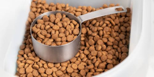 WhatsApp Image 2026-03-30 at 3.43.25 PM